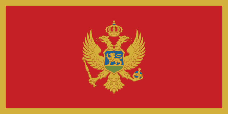 Selected Language Flag